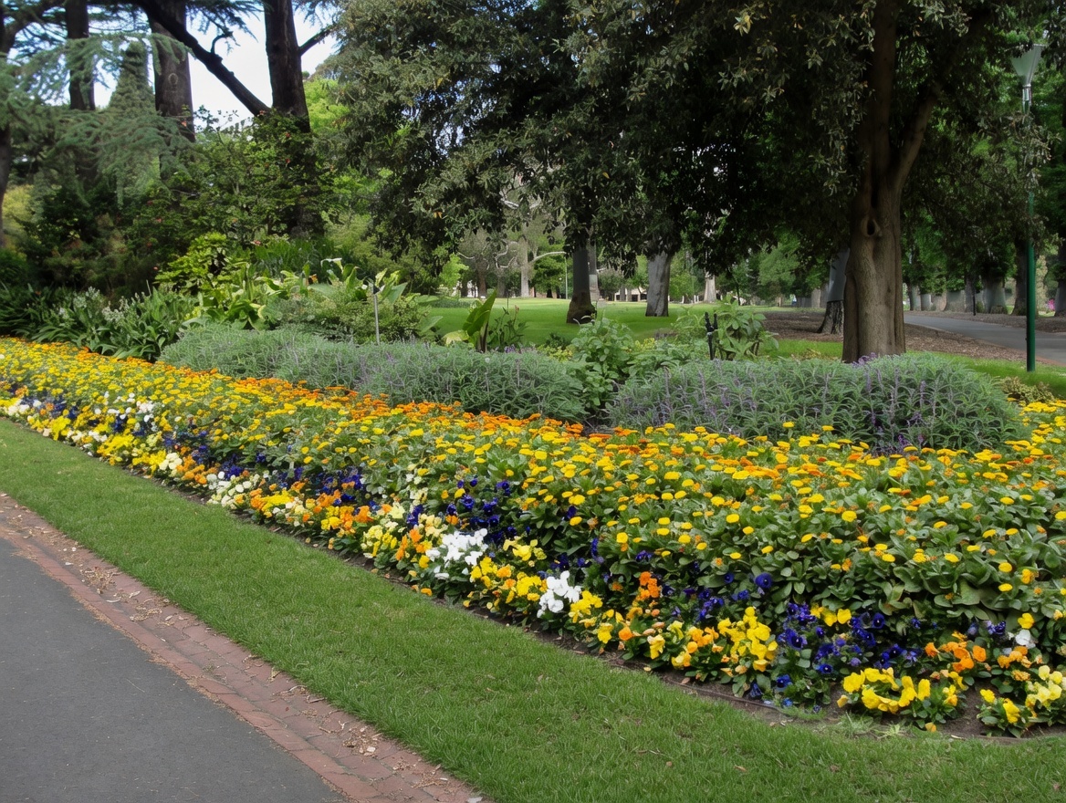 2027_AUNZ_MEL_-_Fitzroy_Garden_-_LB_DSC02589.JPG