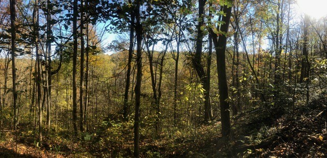 Beaman Park JM