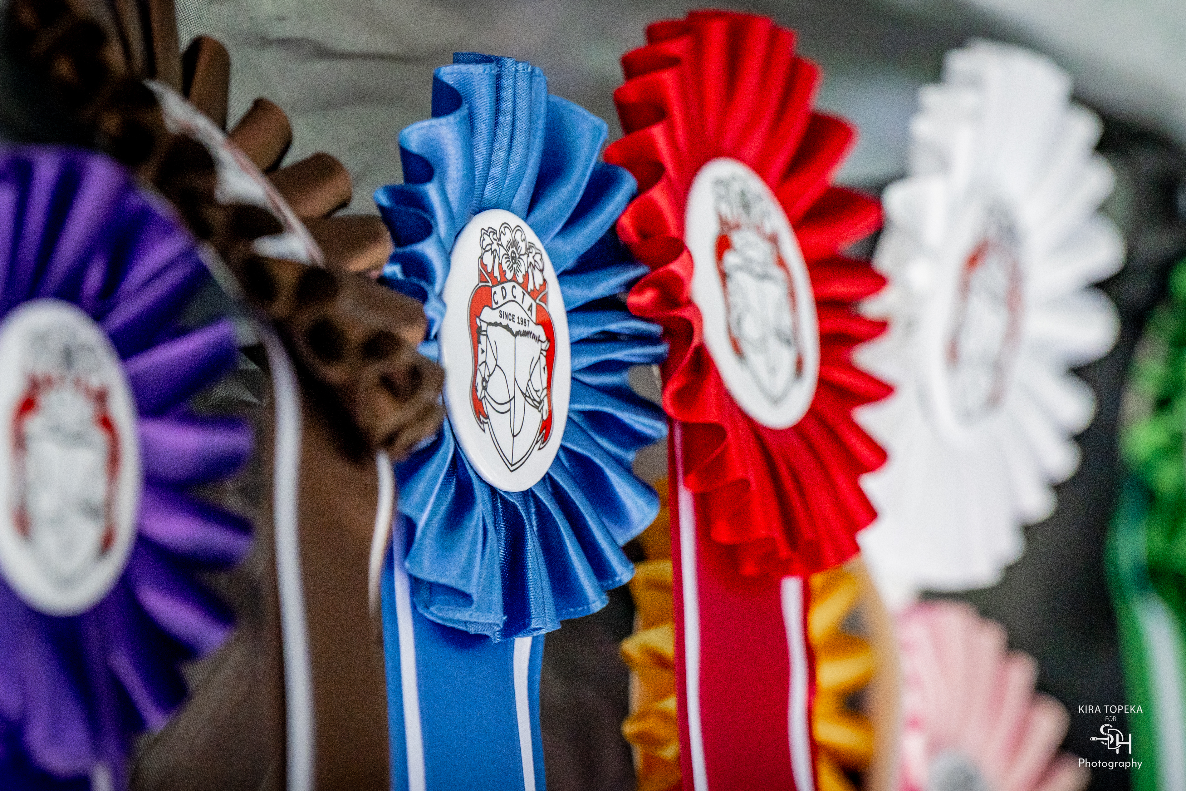 Ribbons