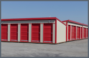Self-Storage Lien Sale Notice of online bidding for storage unit contents must include website: Publ