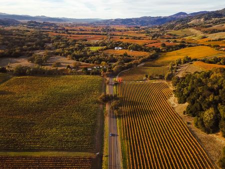Sonoma Fall Panorama