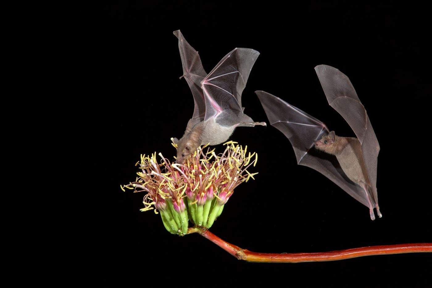 2025.11 Membership Meeting2