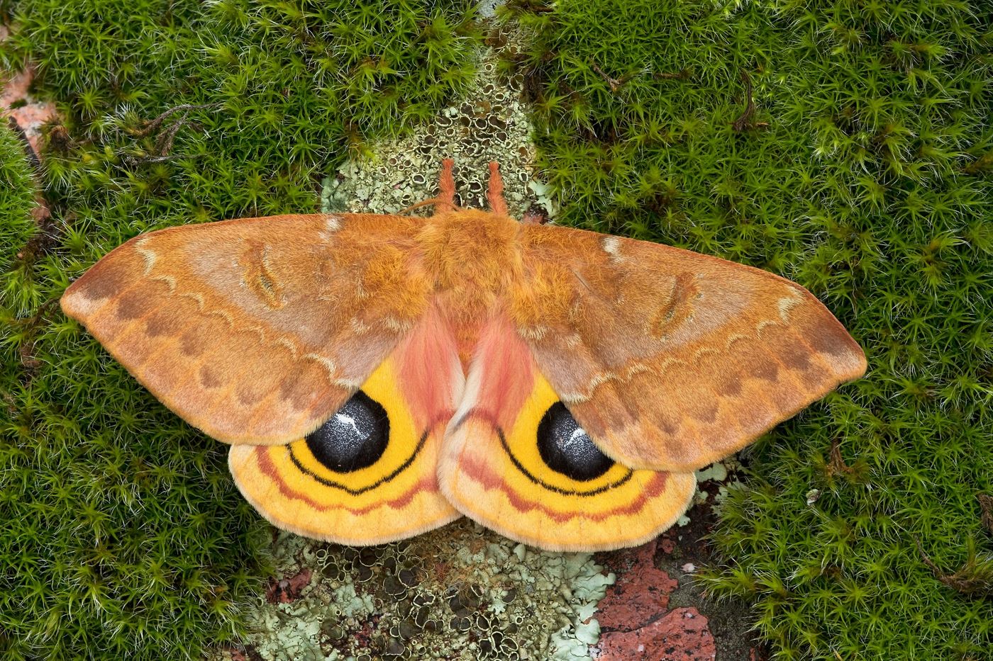 2025.11 Membership Meeting3