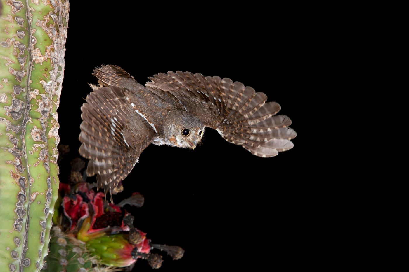 2025.11 Membership Meeting4