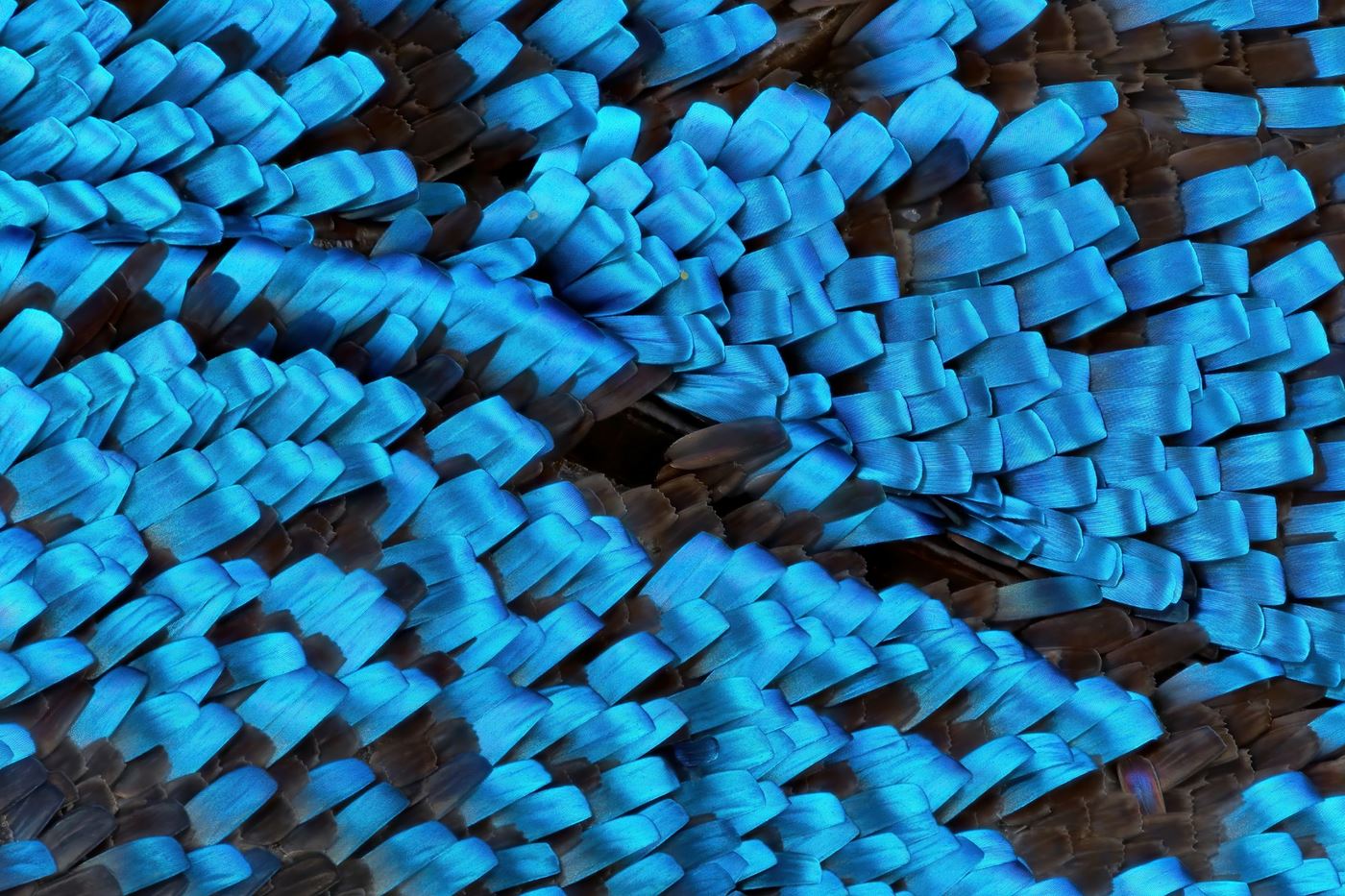 2025.11 Membership Meeting5