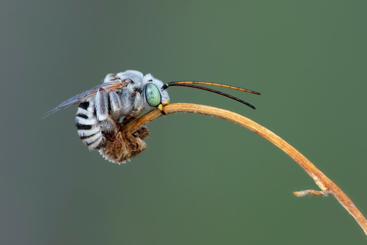 2025.11 Membership Meeting6