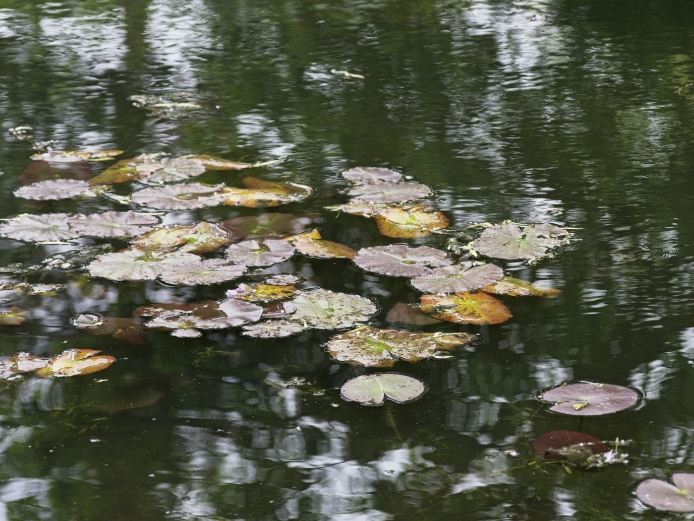 2026.02 - Travelogue - Paris2