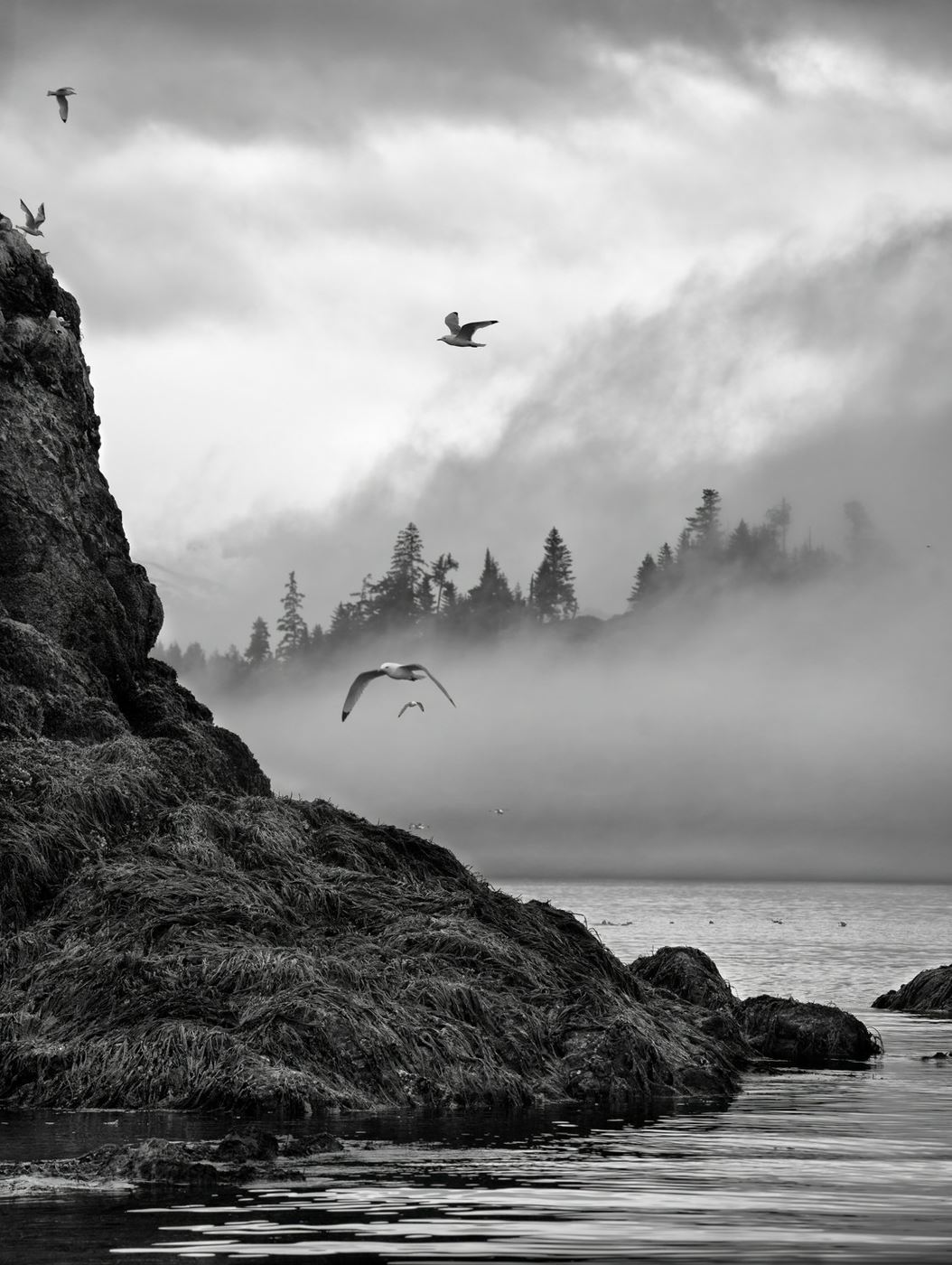 2025.10 Membership Meeting - Langell 2