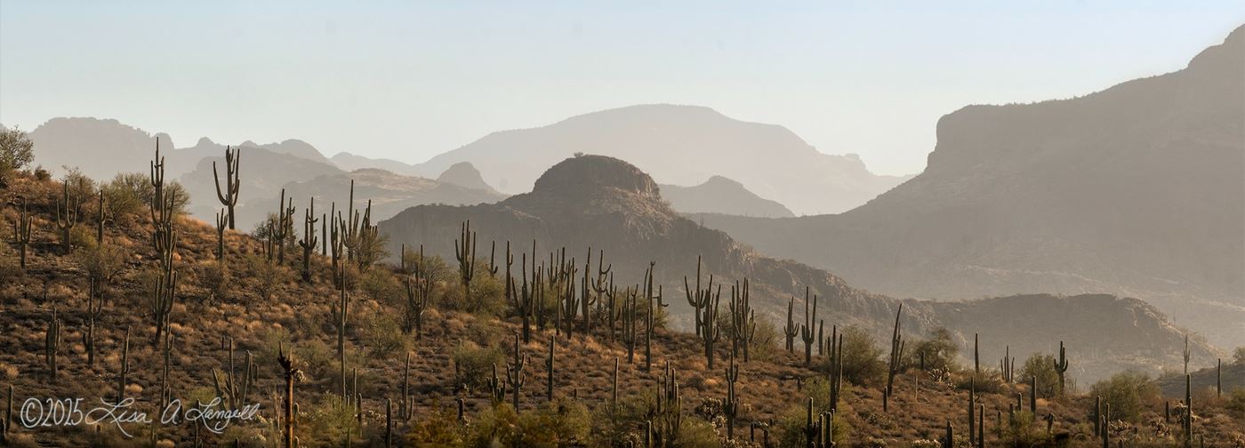 2025.10 Membership Meeting - Langell 1