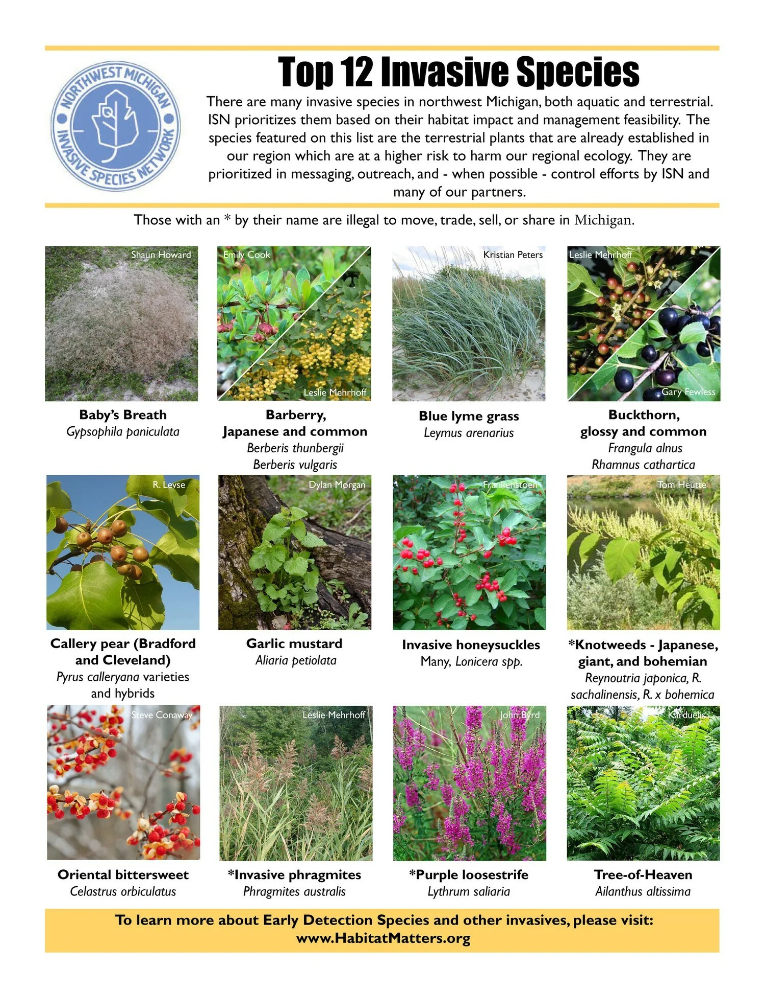 GrandTraverse_12invasives.jpg