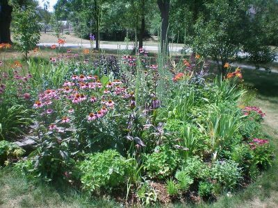 RainGarden_SBryanSM.jpg