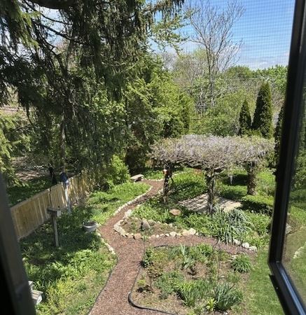 Holdaway-Heys backyard