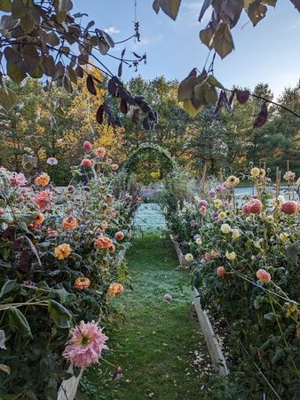 SiChen garden1
