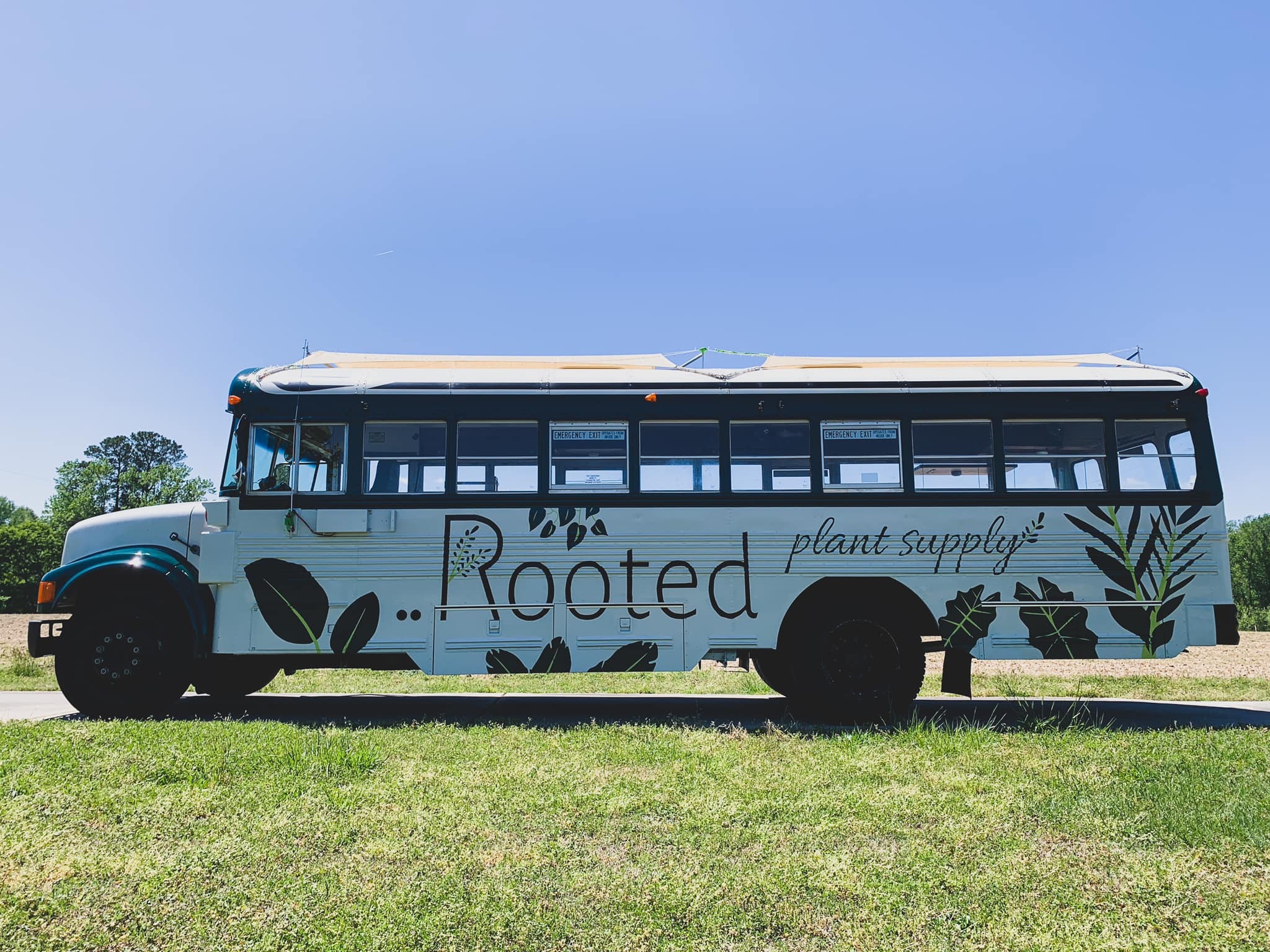 Rooted Plant Supply Pop Up Plant Shop! Events Carolina Gardens by