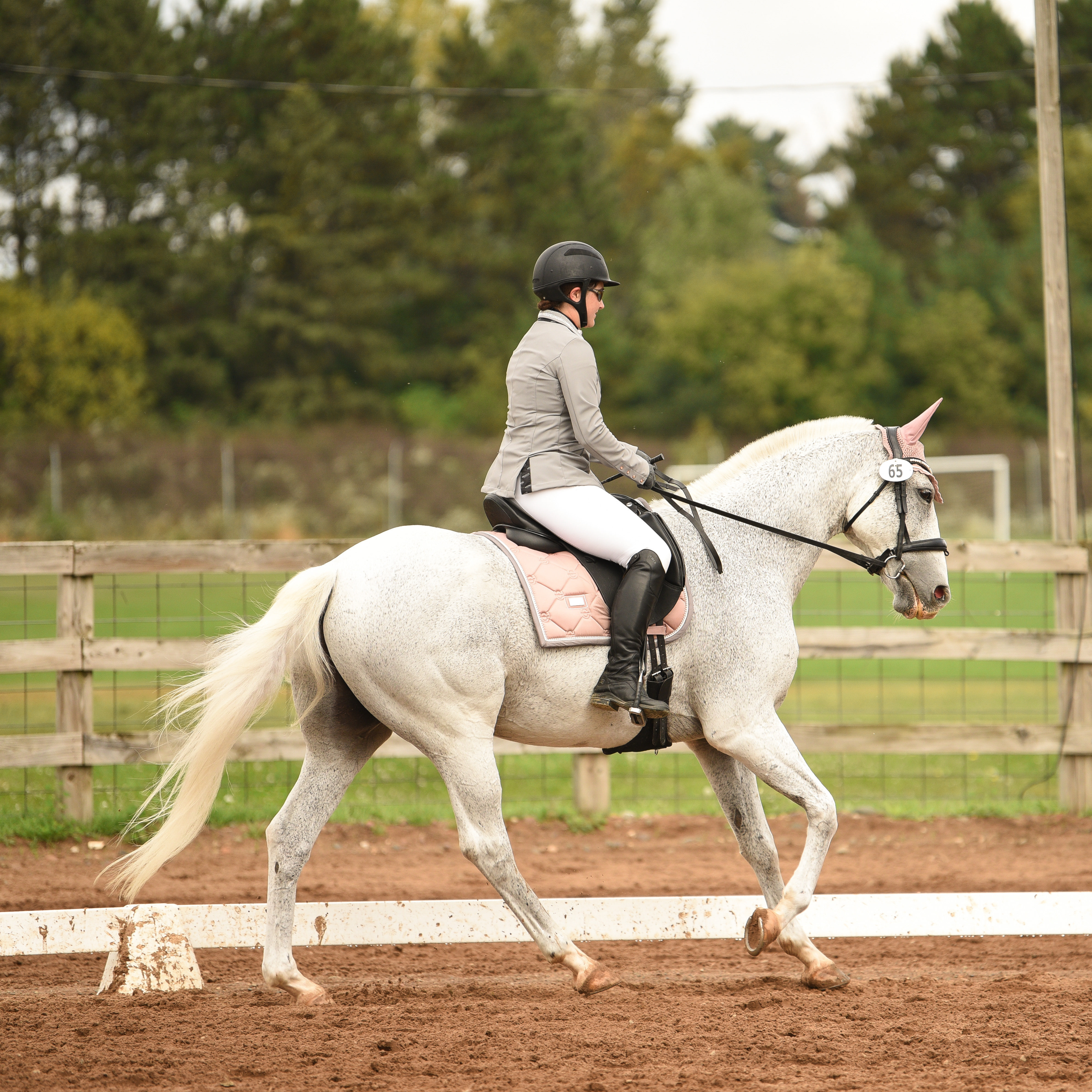 CSDEA Dressage Show