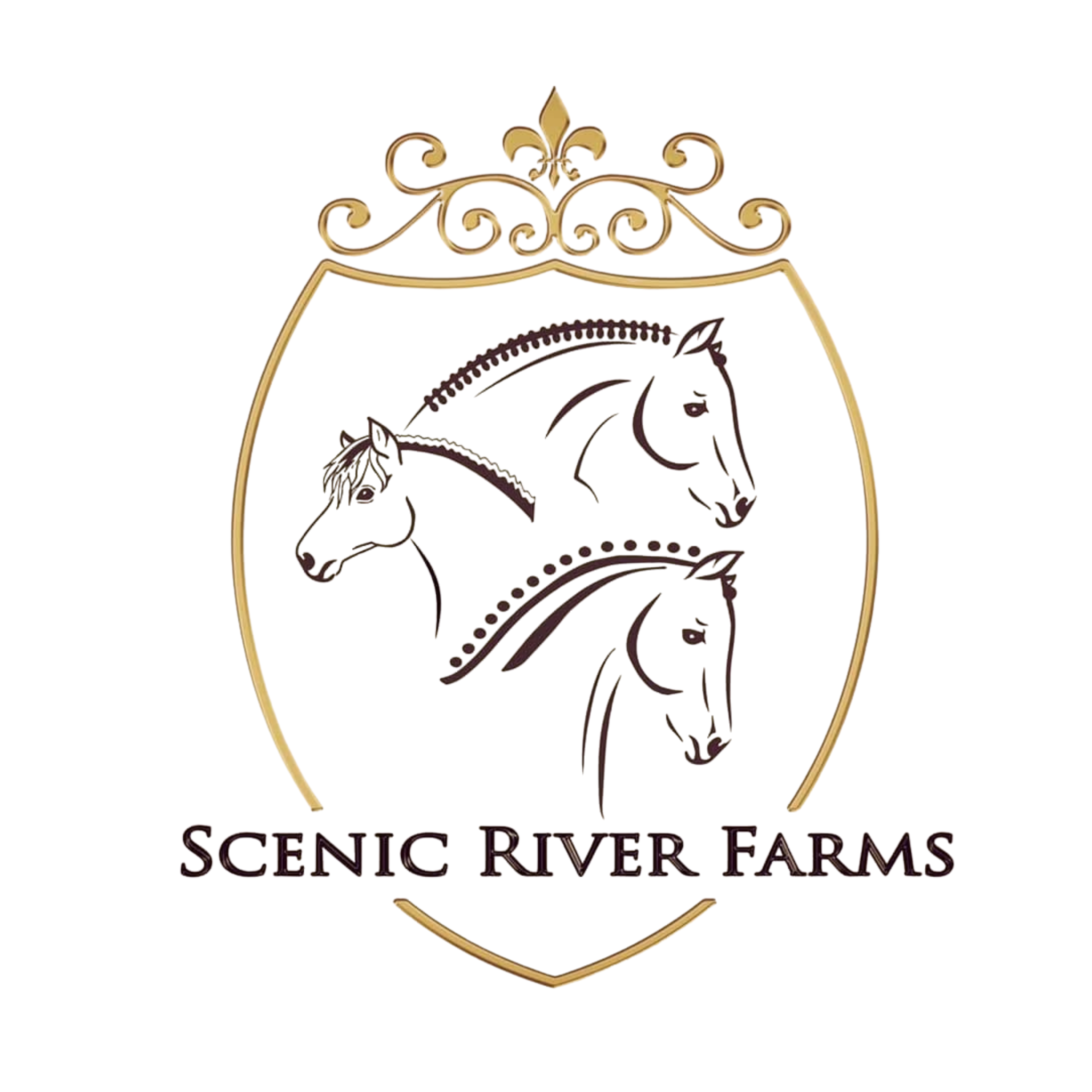 Scenic River Logo
