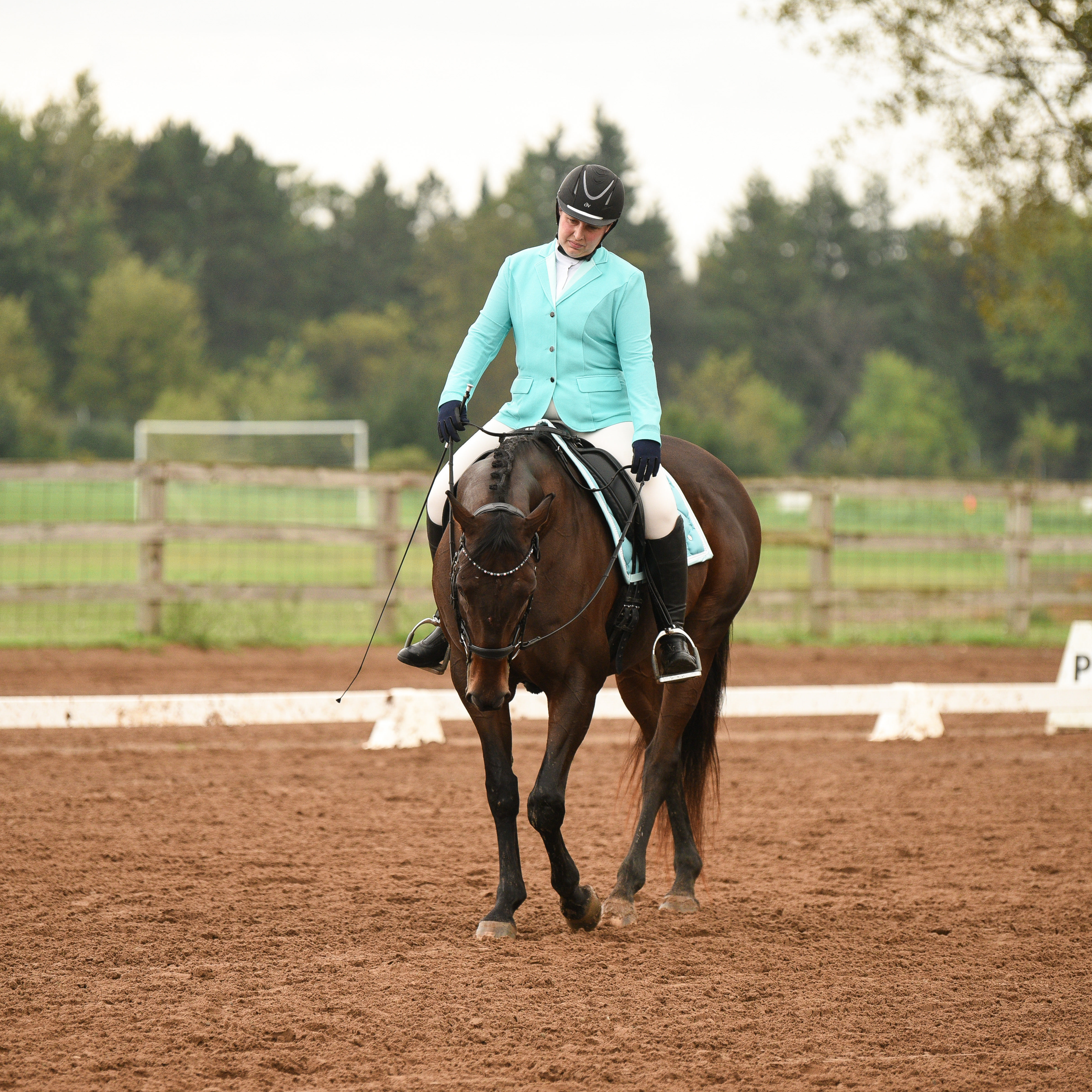 CSDEA Dressage Show