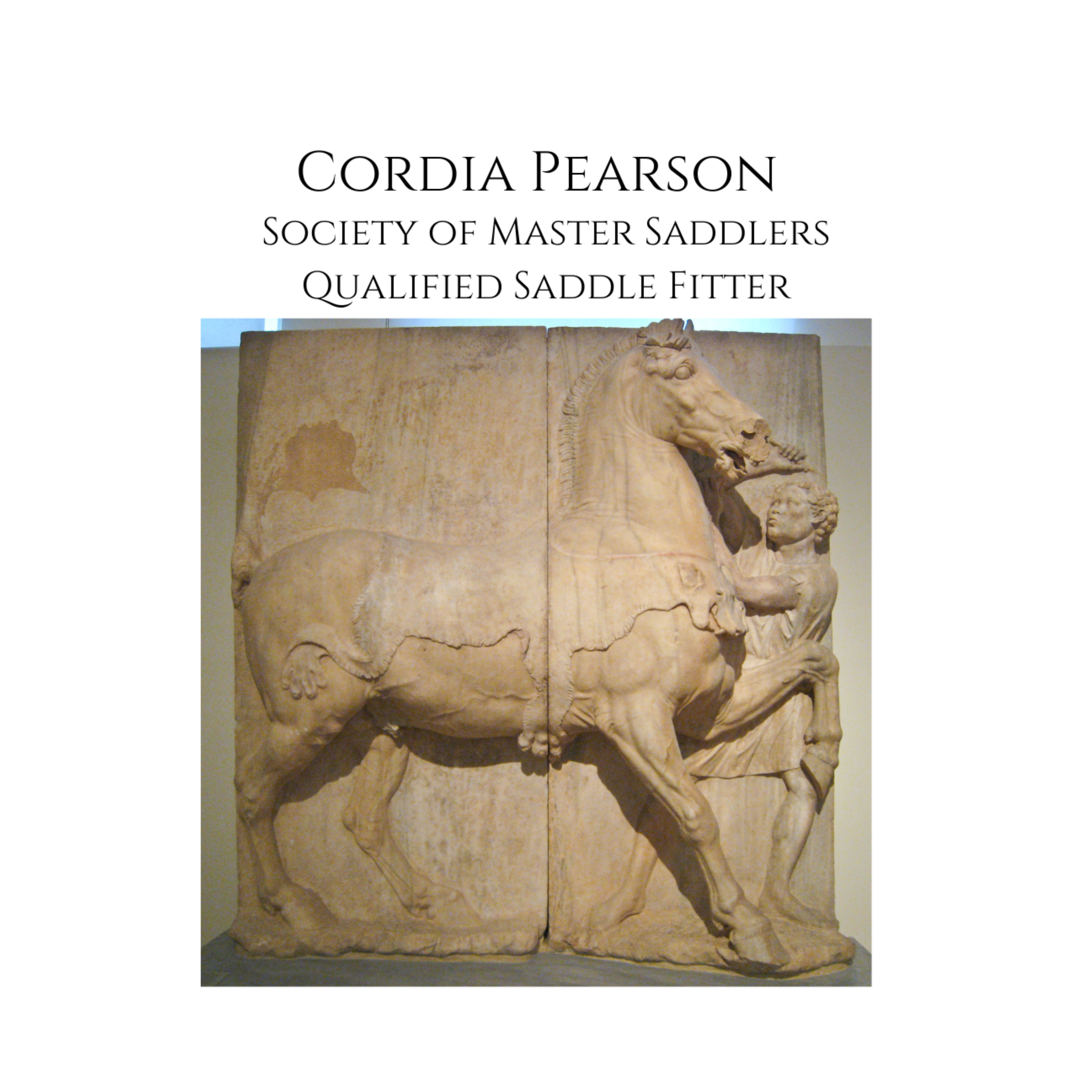 Saddle Fitter