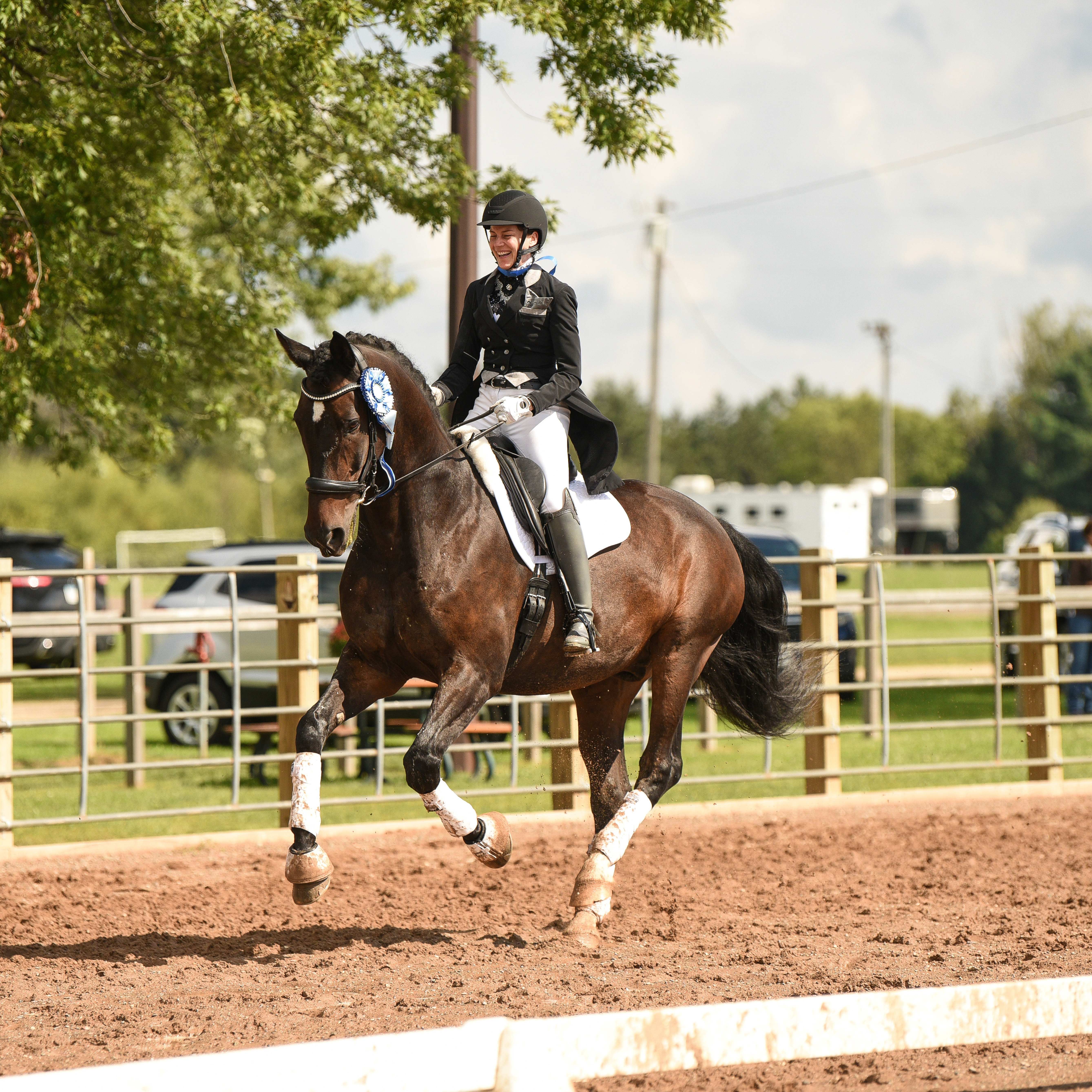 CSDEA Dressage Show