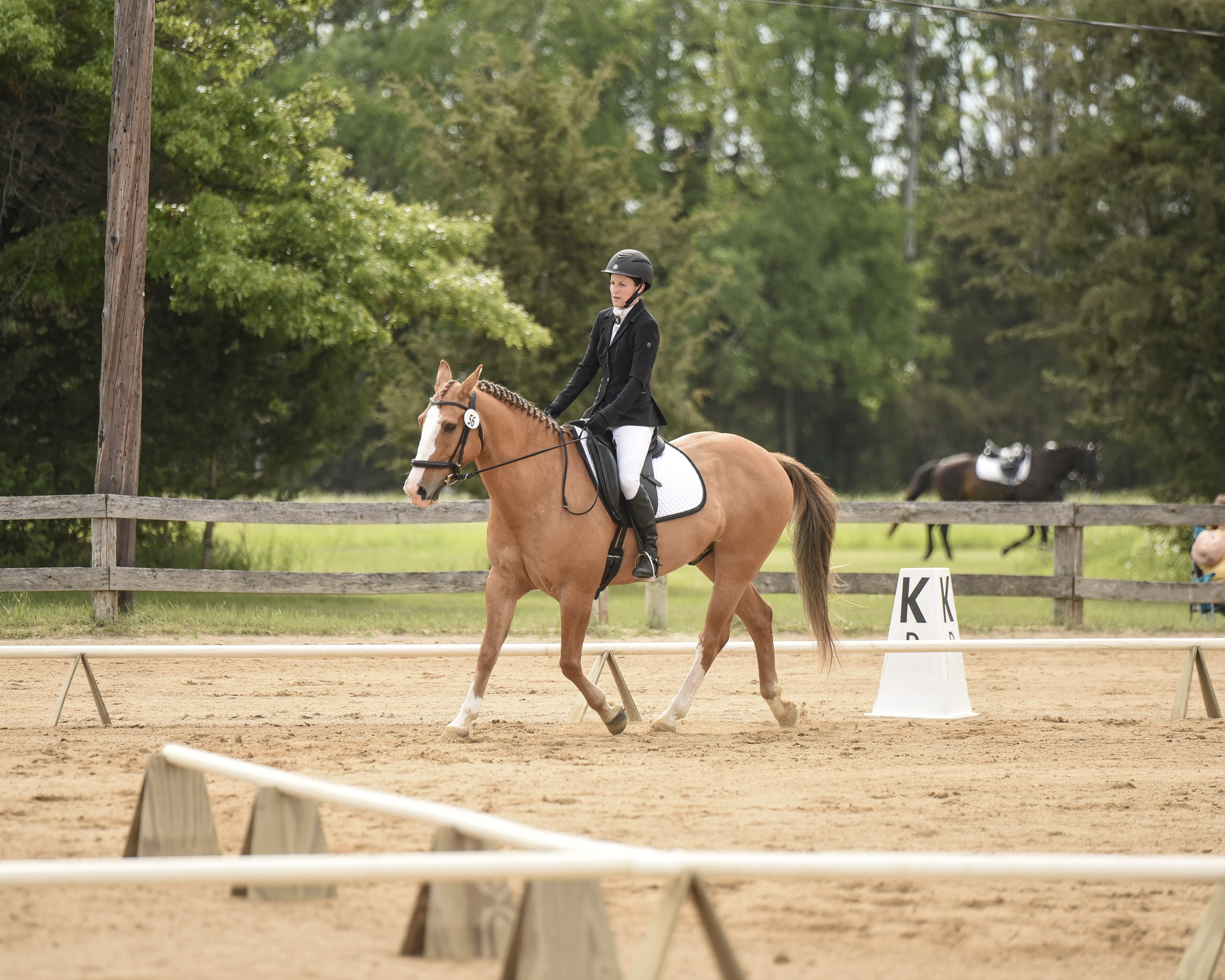 CSDEA Show Photo