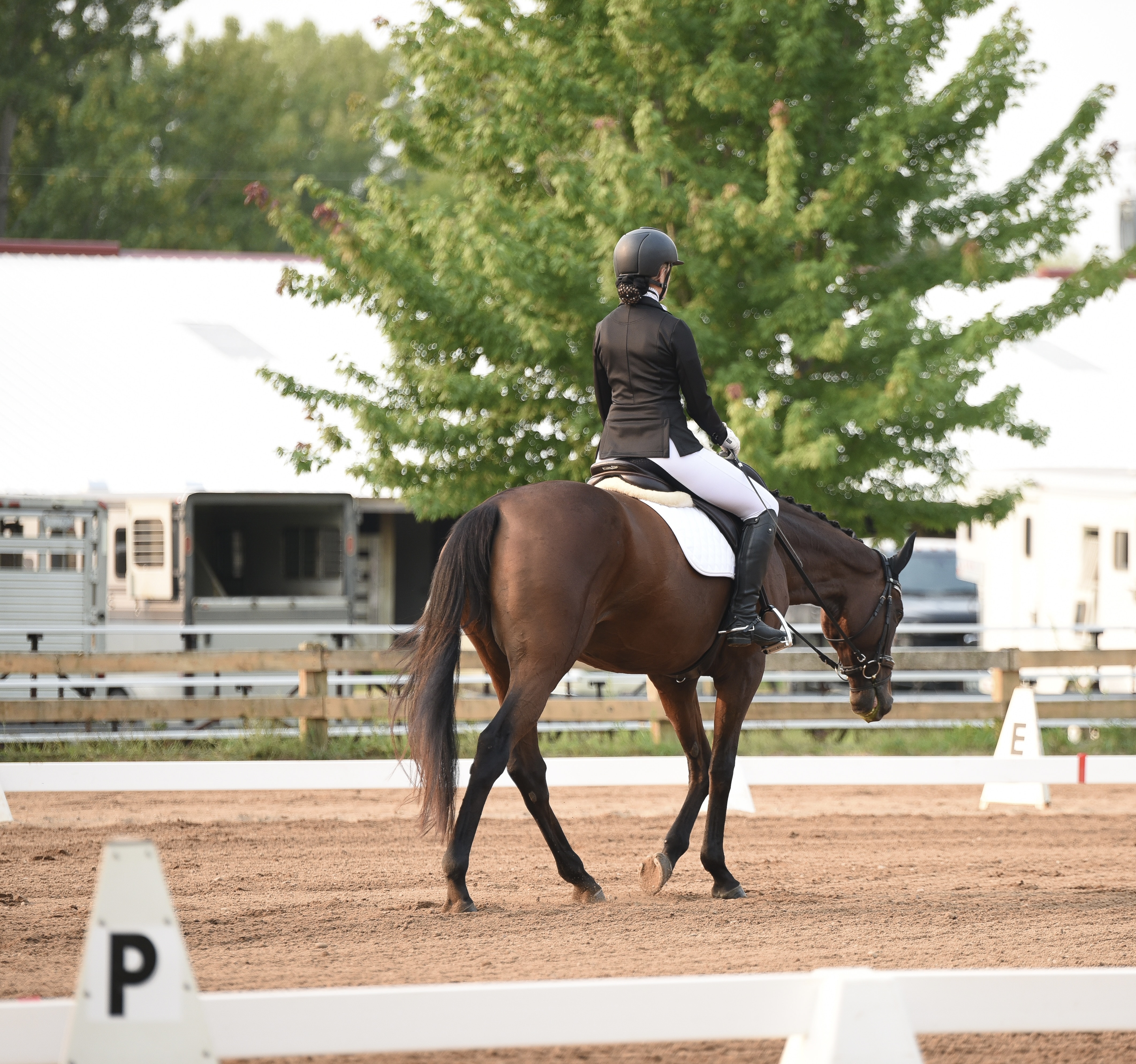 CSDEA Show Photo