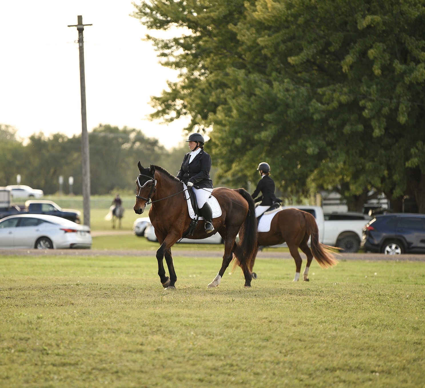 Schooling Show Grant