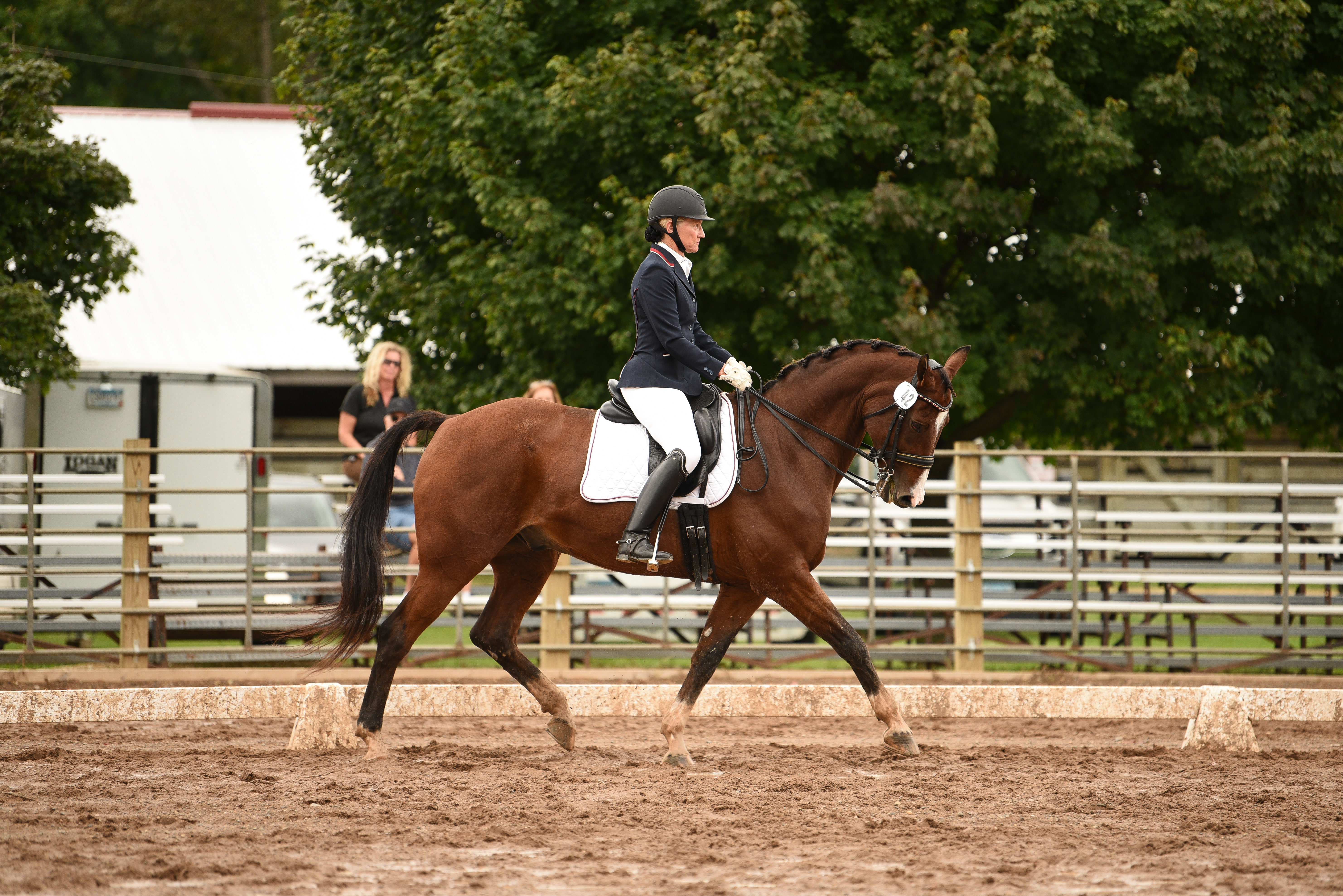 CSDEA Dressage Show