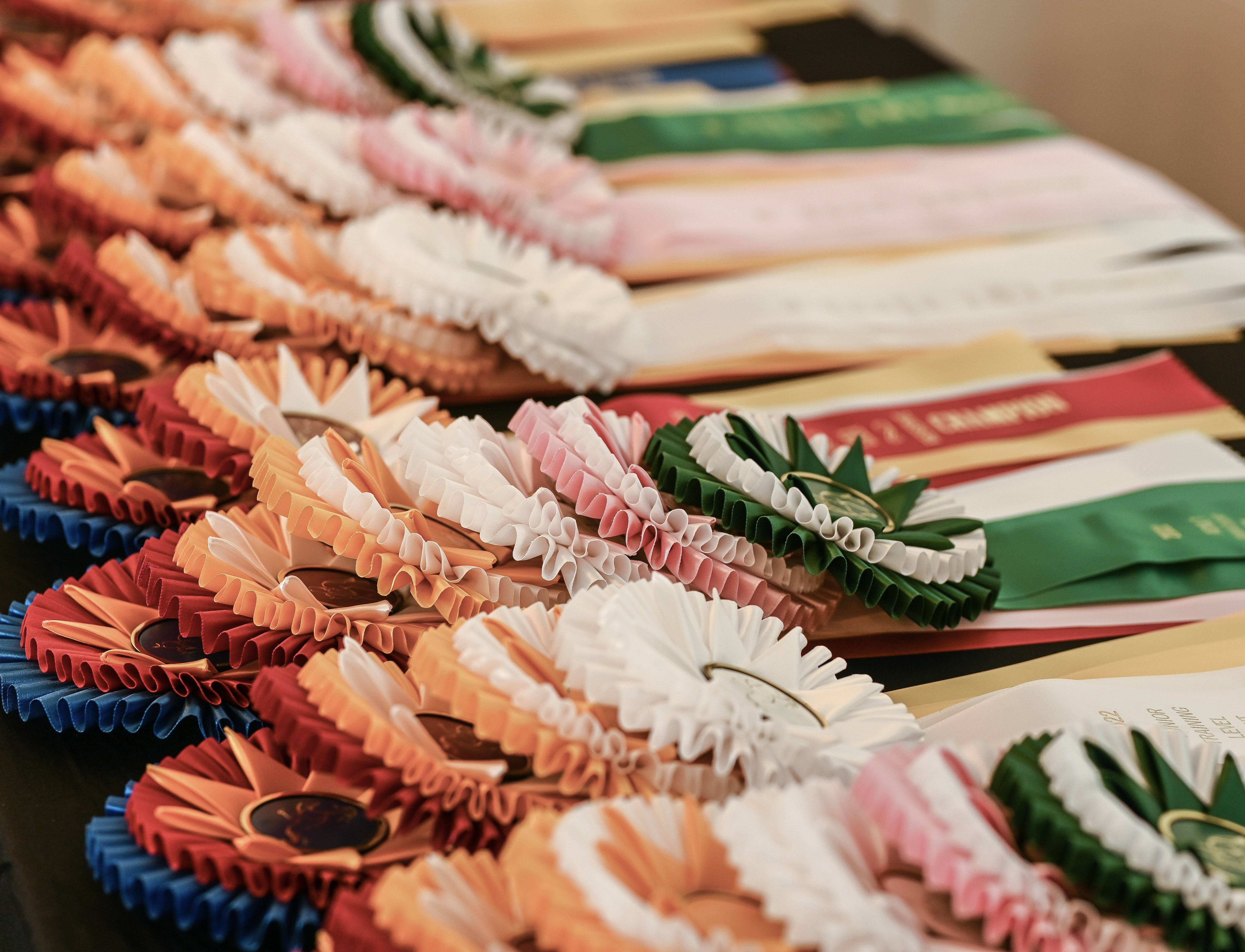 CSDEA Award Ribbons