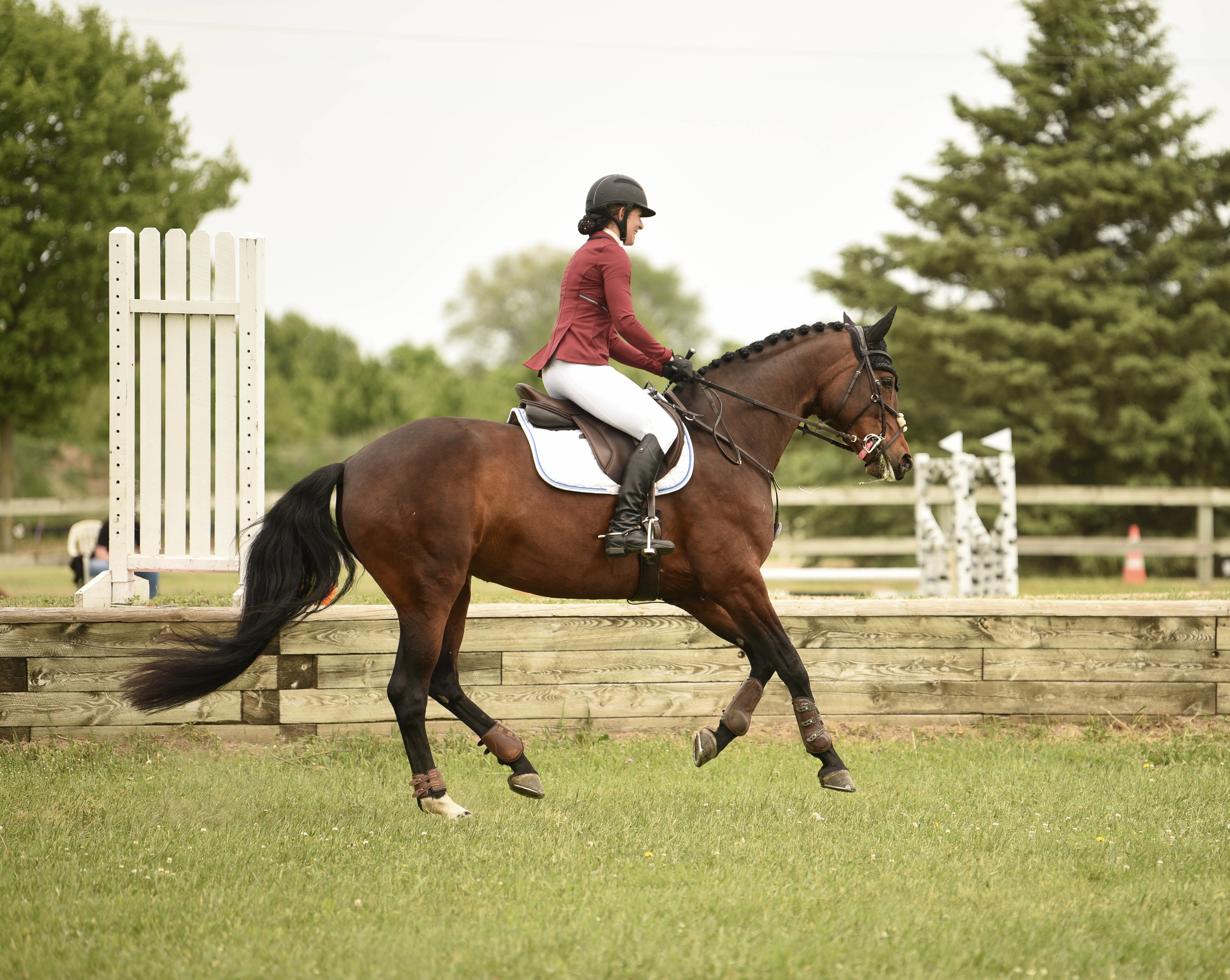 Horse Show Image