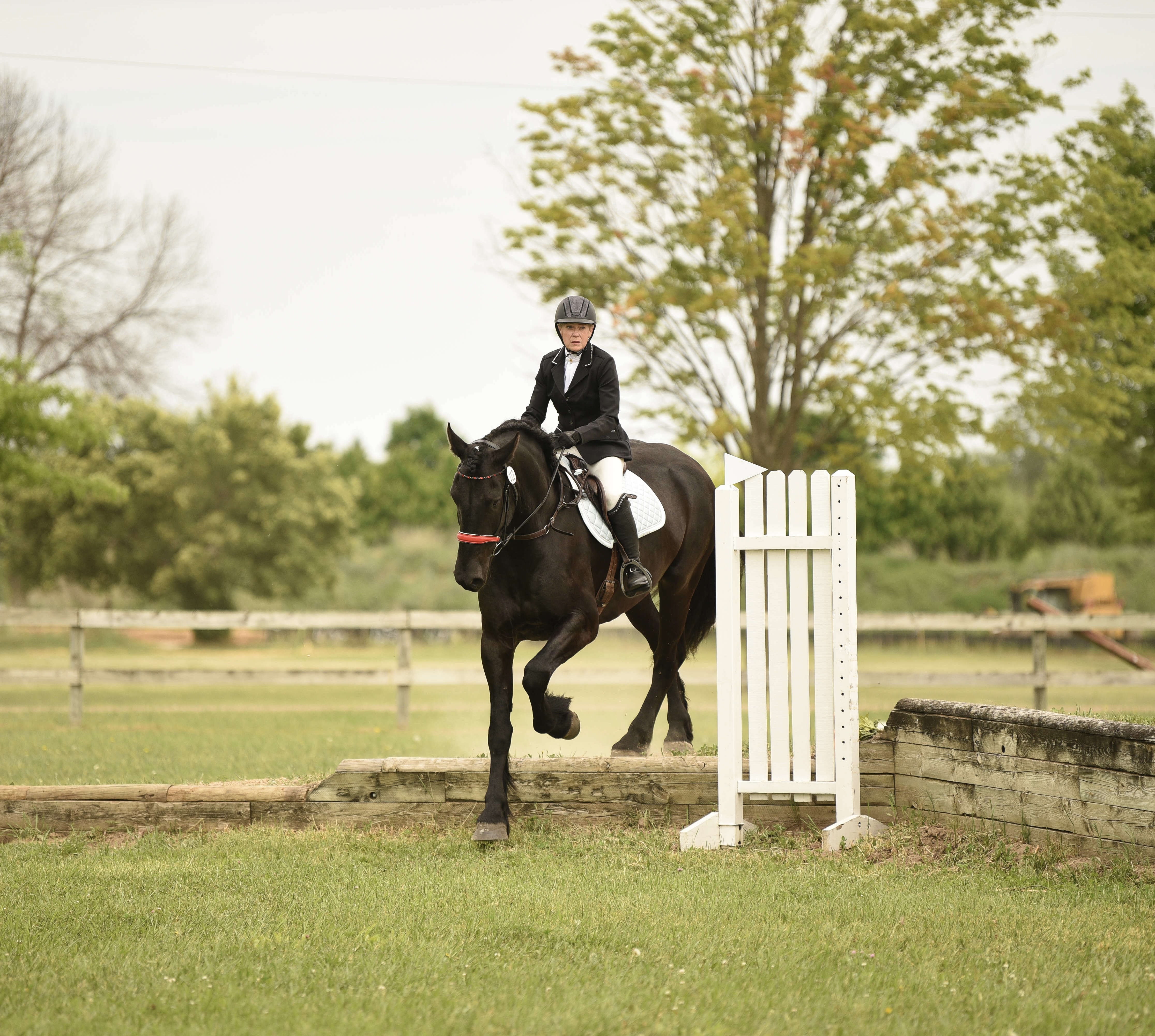 CSDEA Show Photo
