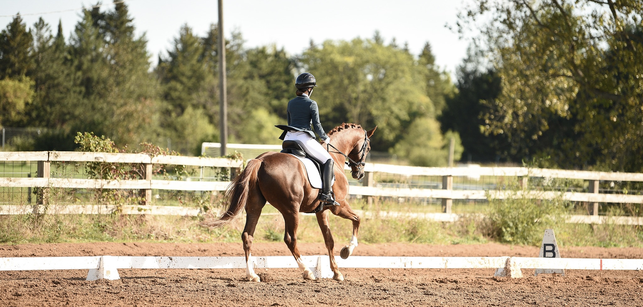 CSDEA Dressage