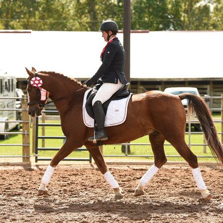 CSDEA Dressage Show