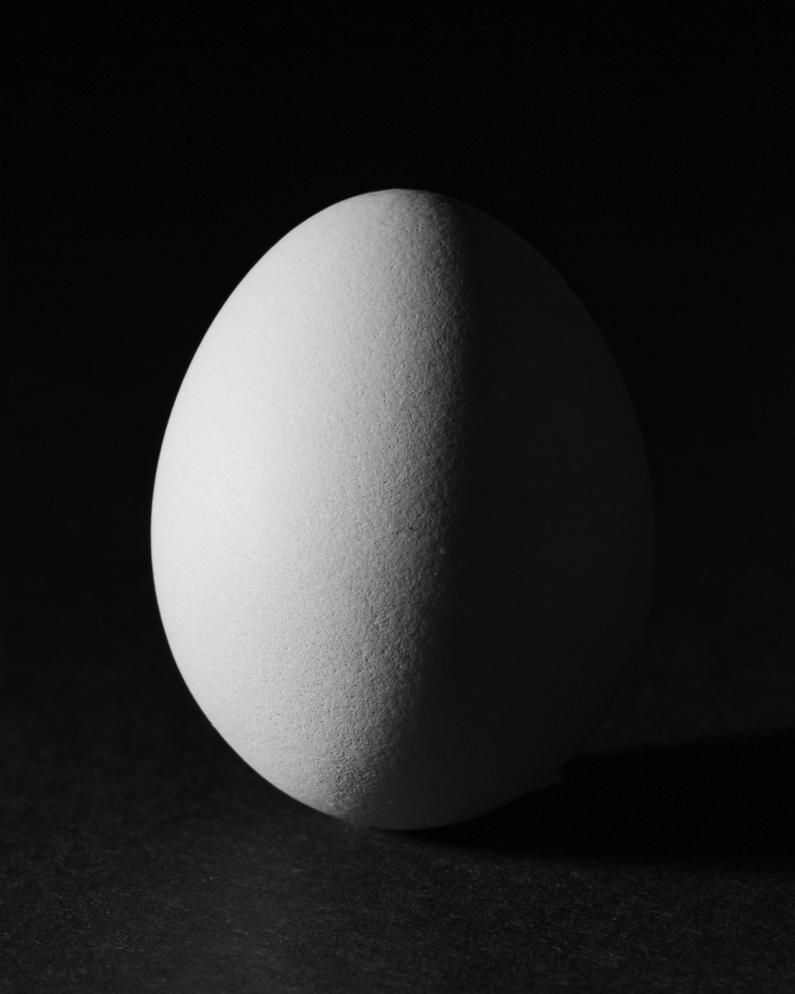 Egg_side_light.jpg