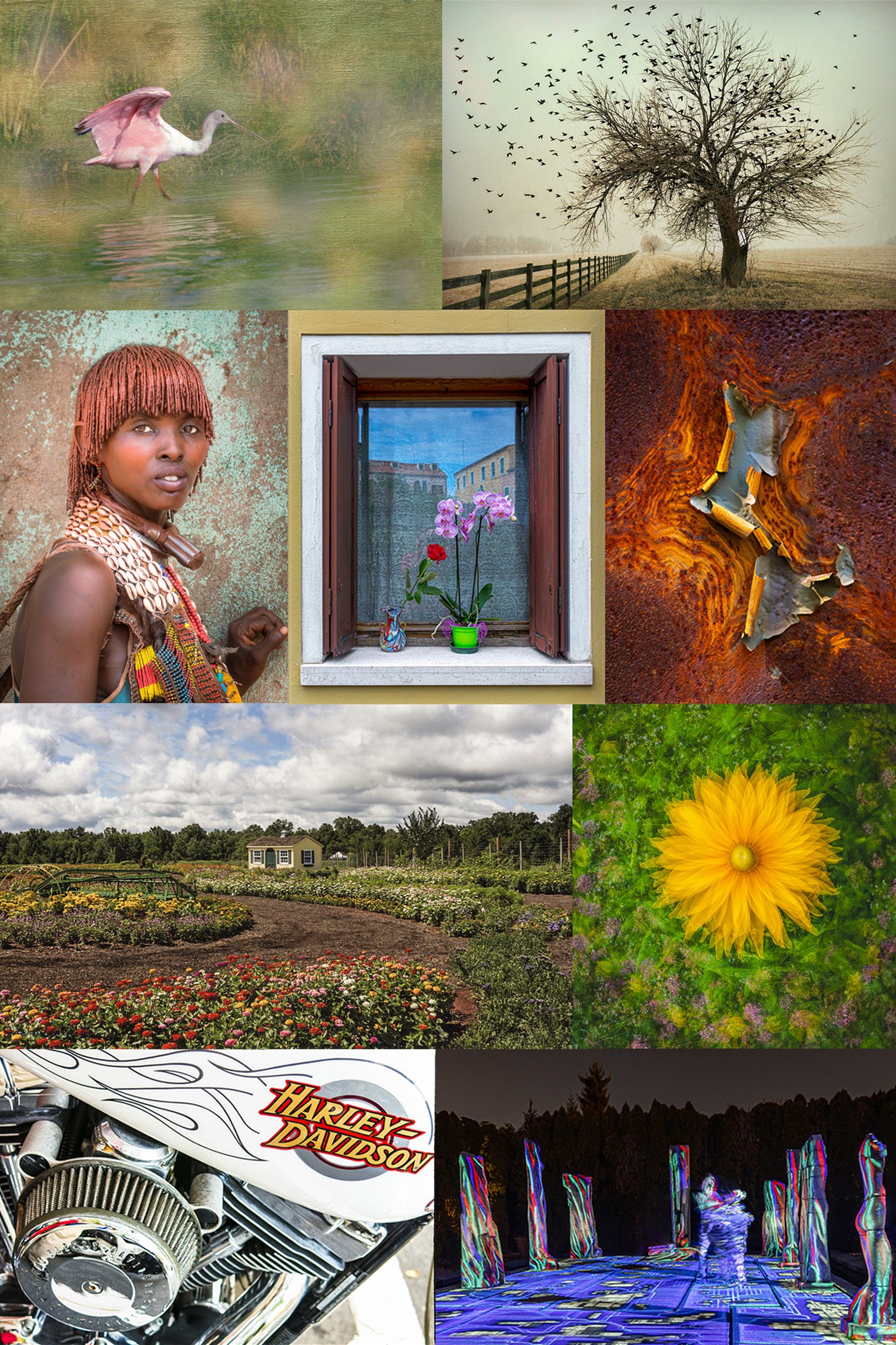 HDSP_2024_Exhibits_2to3_ratio_crop.jpg