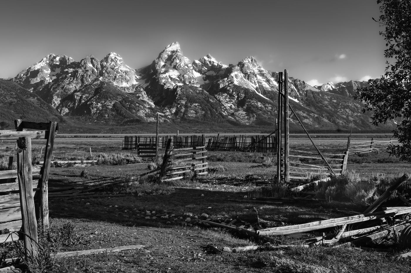 Mike Mormom Row Canal 77626638