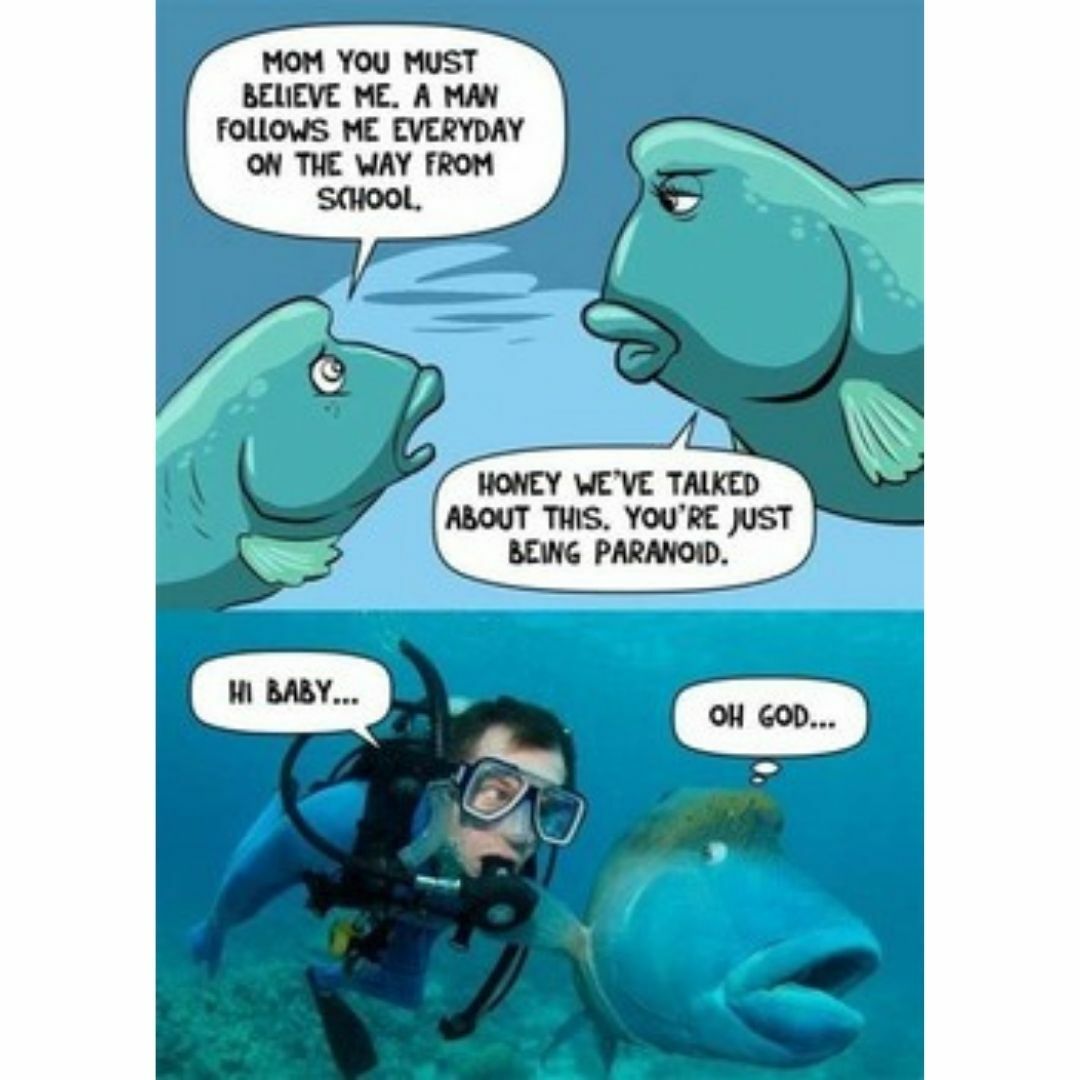 paranoid fish scuba diving meme