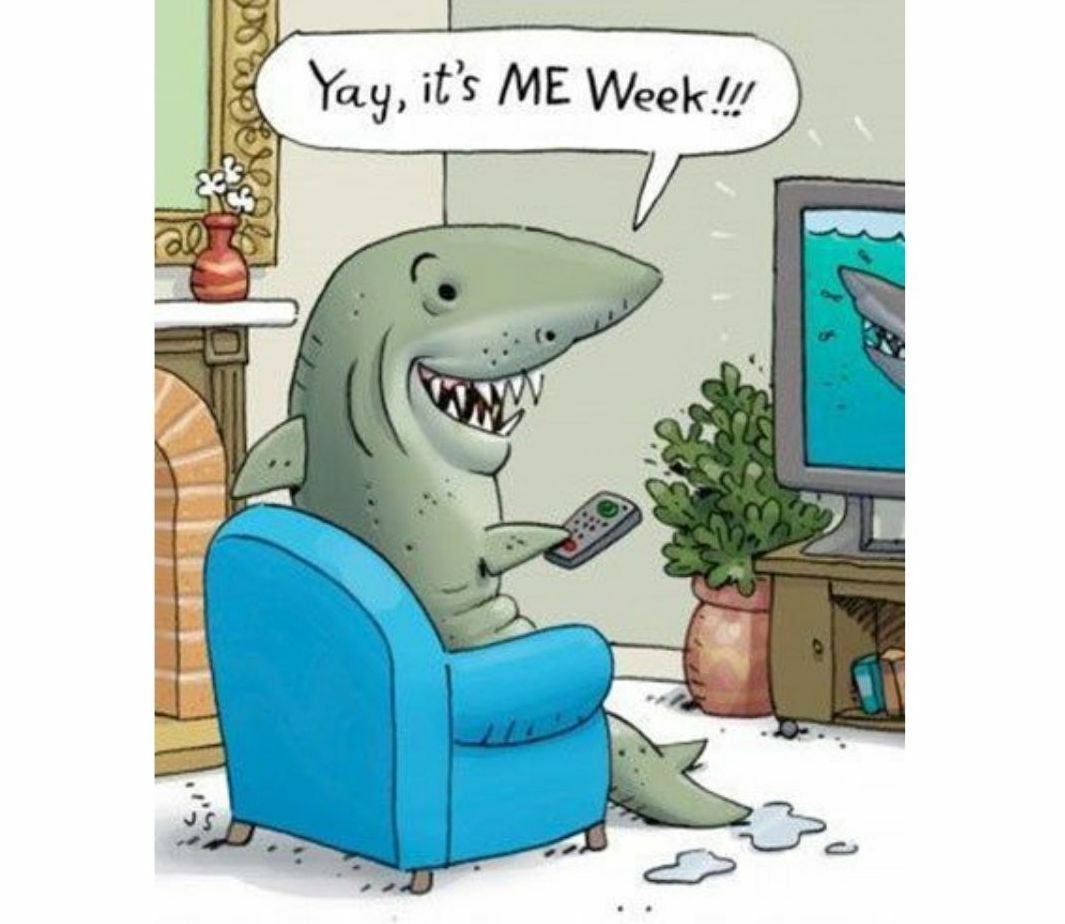 shark watching shark week
