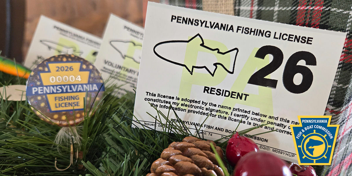 https://www.pa.gov/agencies/fishandboat/fishing/buy-fishing-license-permit