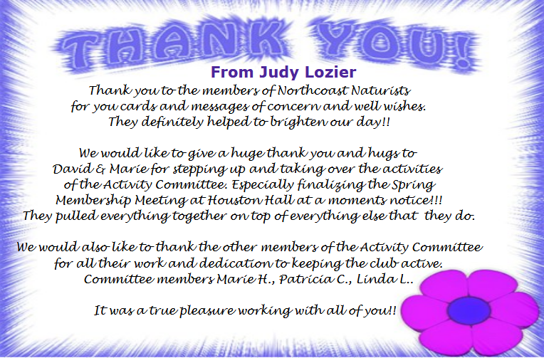 20250915-ThankYouJudy.png