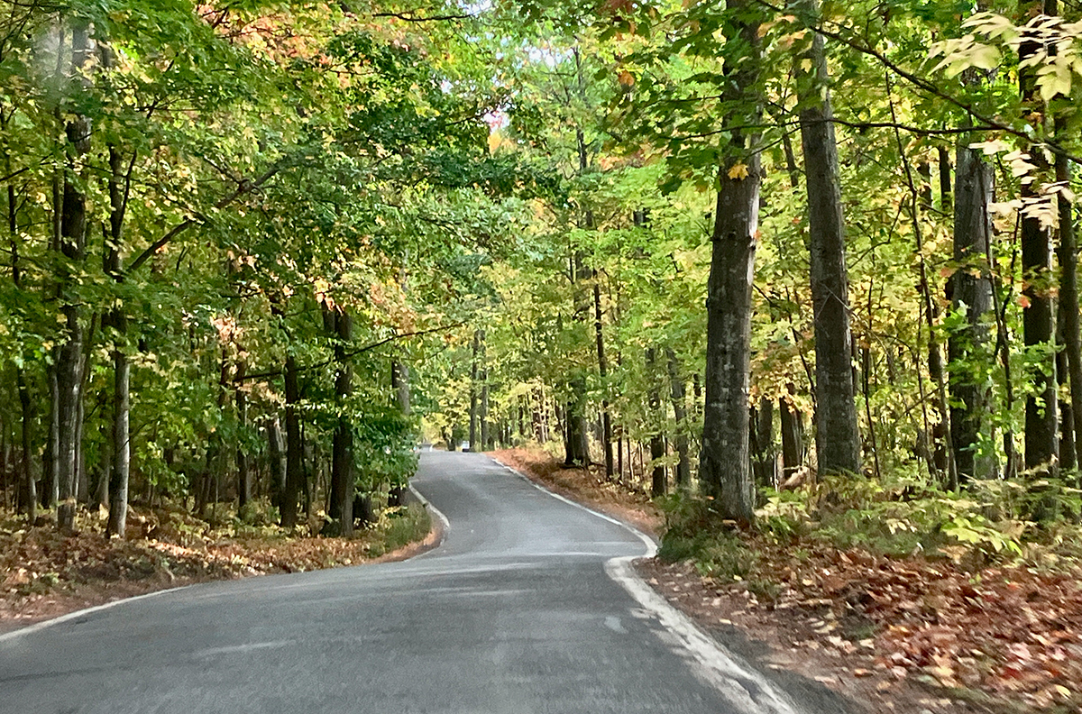 Mackinac_Island_Tour_Tunnel_of_Trees.jpg