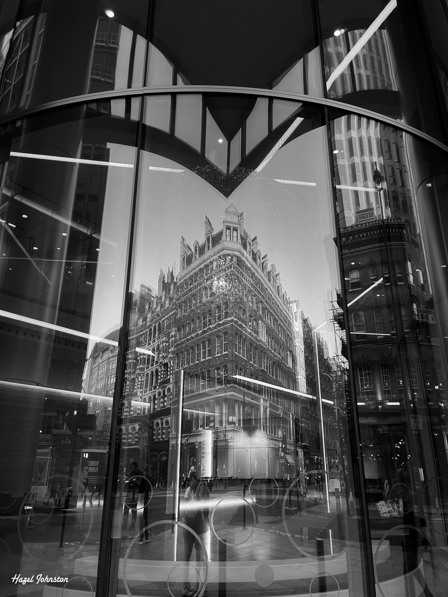 Judges Choice Hazel Johnston M Reflection 1200px