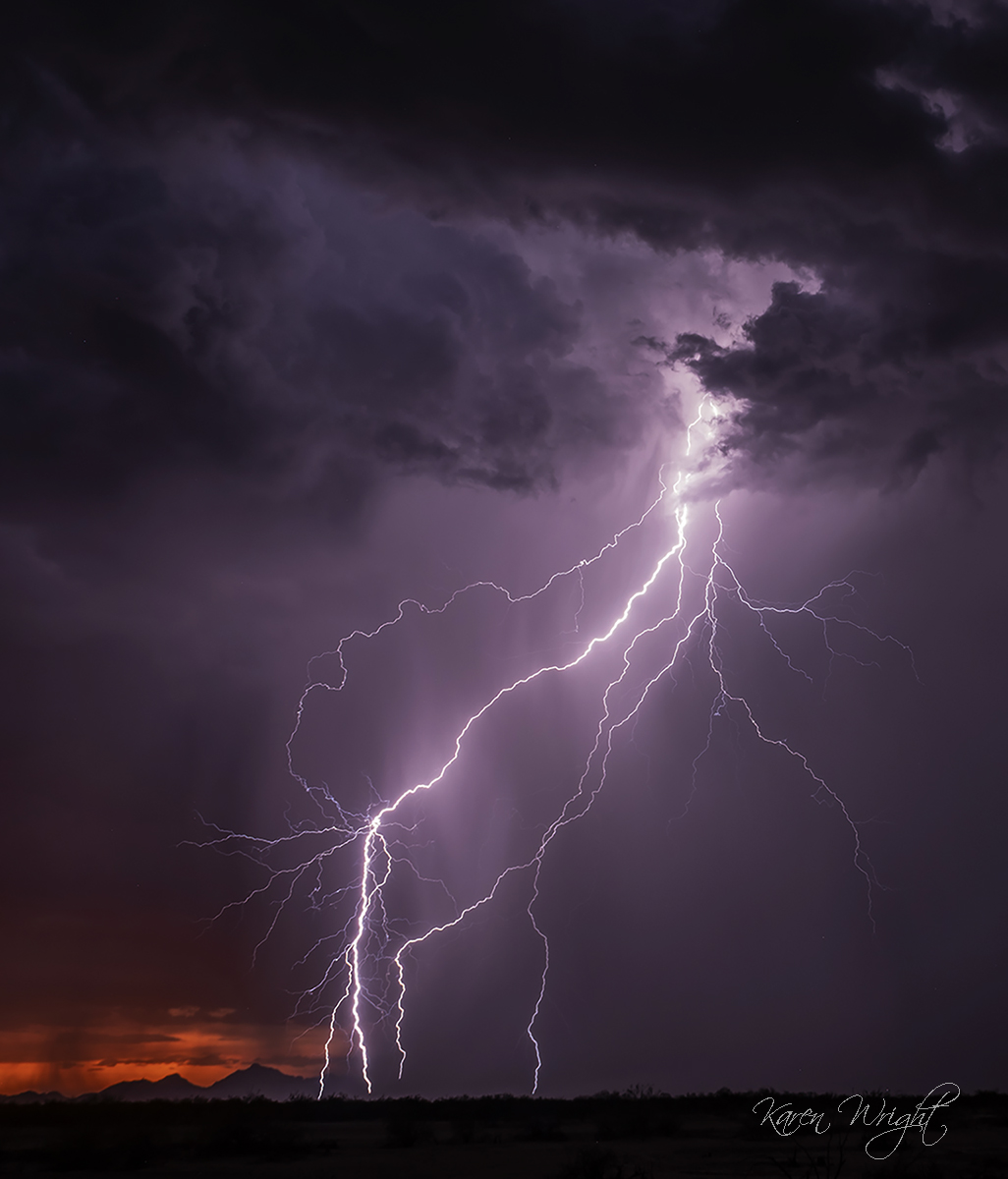 Judges Choice Karen Wright C Electrifying 1200px