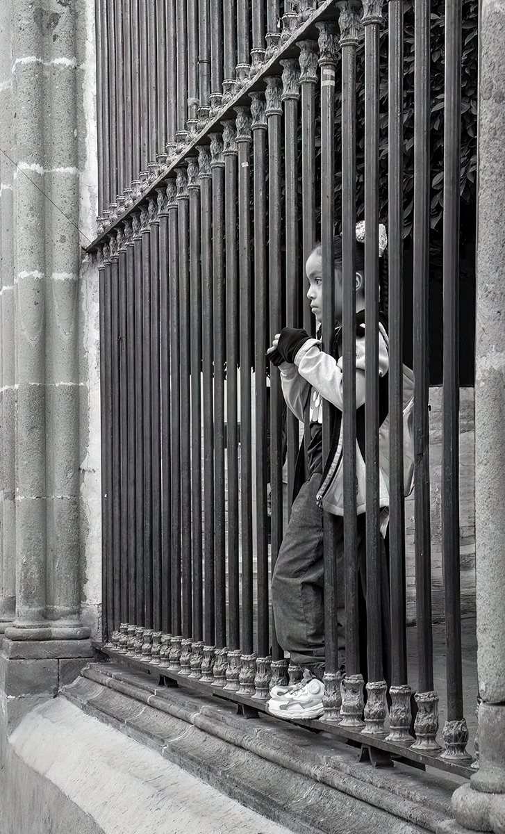 Judges Choice Karen Wright M Taking It All In 1200px