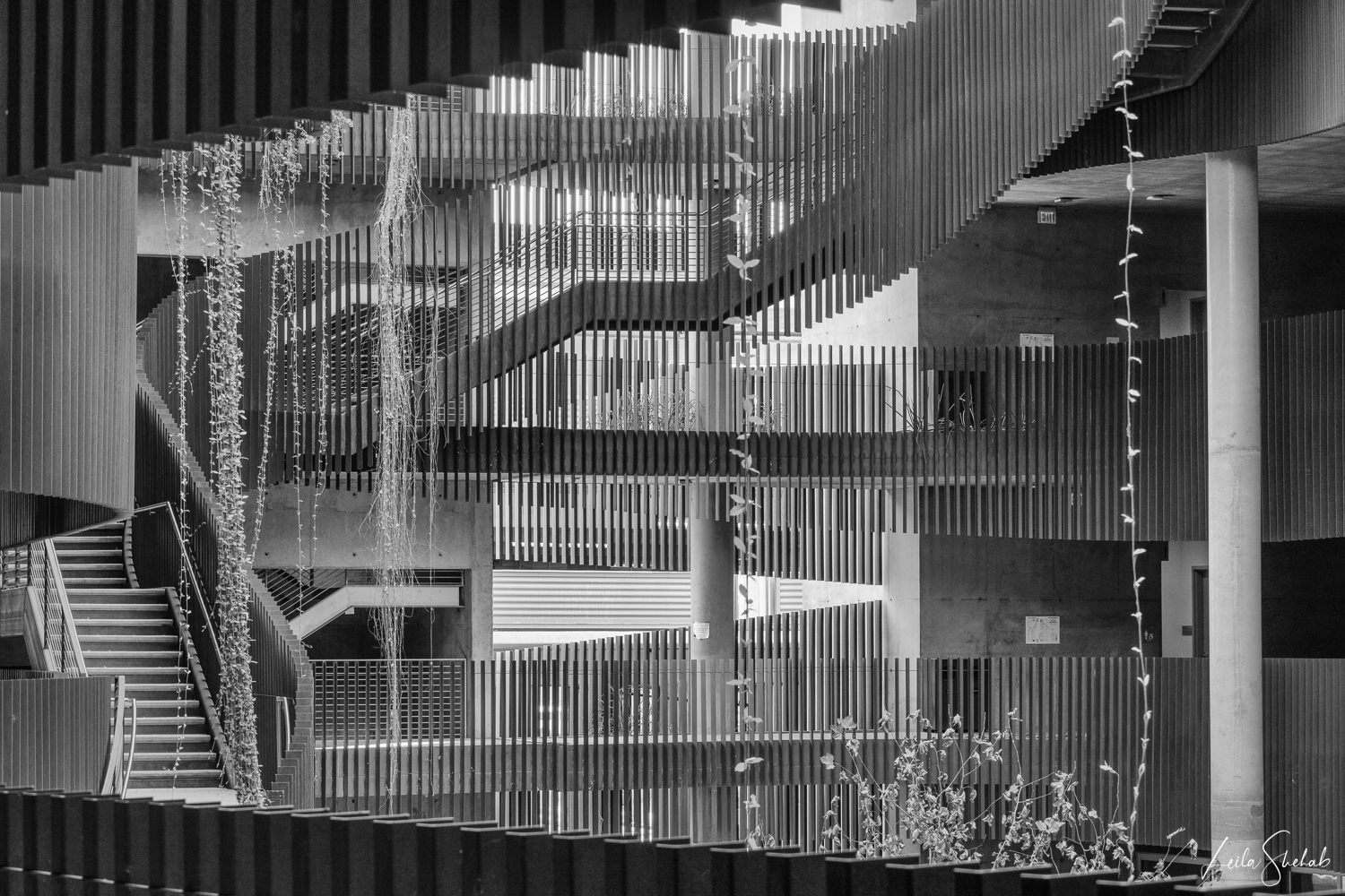 Judges Choice Leila Shehab M Slot Canyon 1200 DSC2192