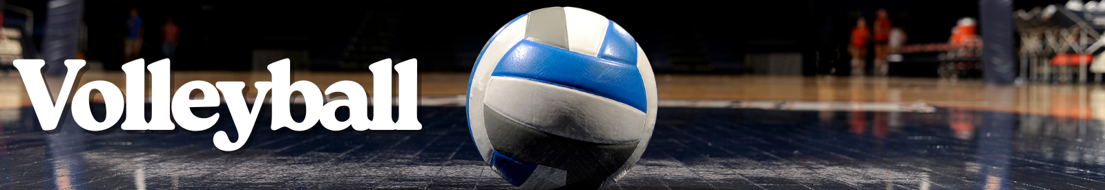 volleyball_website_title.png