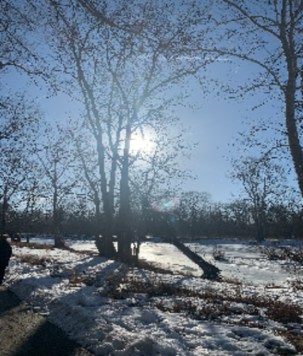 Photography (edited) (edited)