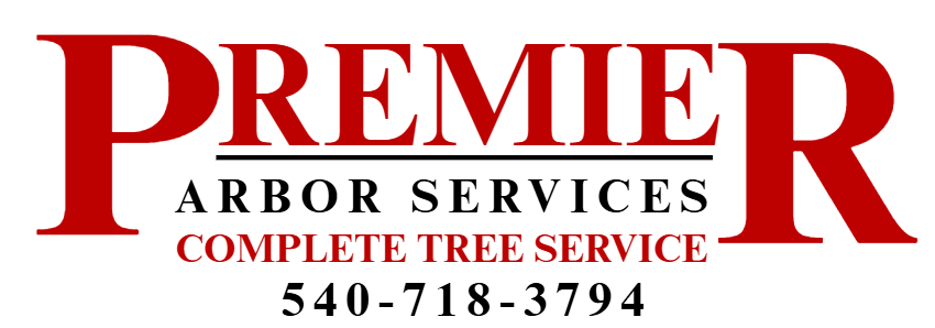 premier arbor services