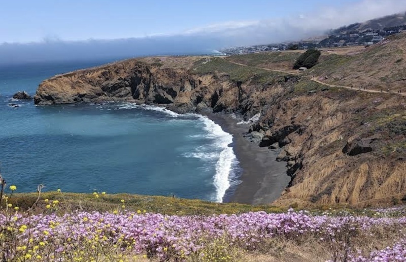 Mori Point Coastal View and Walk