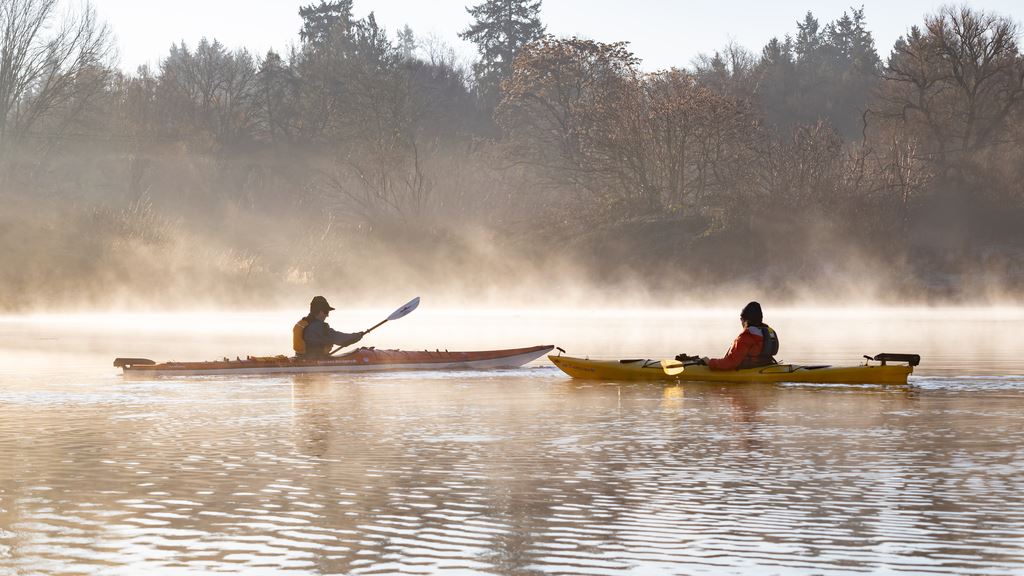 Paddlers in the Mist