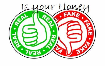 Is your Honey Real or Fake